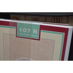 TITTO BLUNI: AGENDA DE TRABAJO GRANDE DE PIEL CERRADA CON CREMALLERA PAGINA DIA 27x19