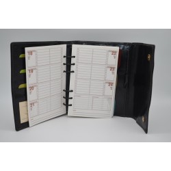 THE CRAFTSMAN: AGENDA DE ANILLAS MEDIANA DE PIEL 3 DIAS X PÁGINA 20X17 CM.