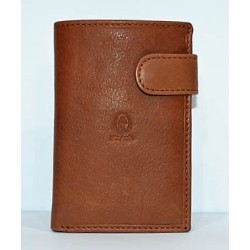 Potro-Durango: Cartera  ref. 2178